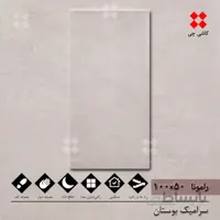 رامونا خاکستری 50×100 مات درجه 1