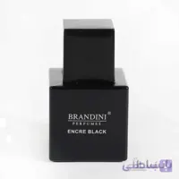 عطر ادکلن برندینی لالیک نویر مردانه 25 میل کد 135