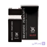 عطر جیبی سیلور مردانه برندینی