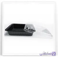 ظرف 303 مهرپارسا
