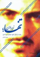 کتاب تنها زیر باران (روایت زندگی شهید مهدی زین الدین)