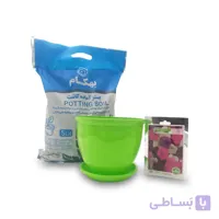 پکیج اطلسی ایرانی معطر