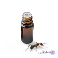 روغن مورچه