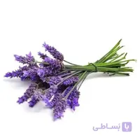 بذر اسطوخودوس