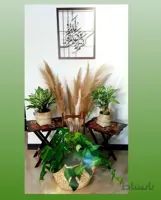 میز عسلی چوبی تاشو دوتایی کد ۱۰۲۴۳۳