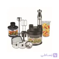 غذاساز چندکاره دلمونتی مدل DL 395