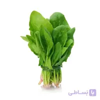 بذر اسفناج