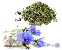 برگ کاسنی