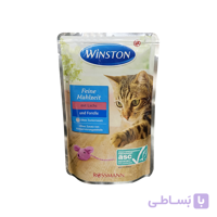 پوچ گربه وینستون با طعم ماهی قزل آلا و سالمون Winston Trout & Salmon وزن 100 گرم