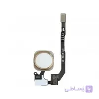فلت هوم و اثر انگشت Apple iPhone 5s