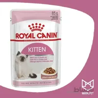 پوچ رویال کنین Kitten