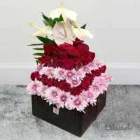 باکس گل رز و داودی