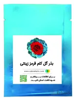 بذر گل کلم زینتی