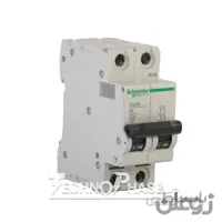 فیوز مینیاتوری دو پل 32 آمپر اشنایدر مدل C60N