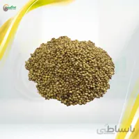 بذر گشنیز