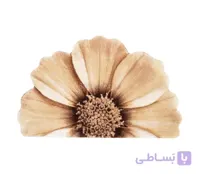 پادری زرباف طرح گلپر