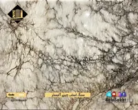 سنگ اسلب چینی آلبستر