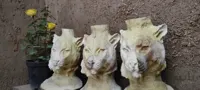 سردیس چوبی جگوار