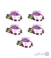 دستمال کاغذی 150 برگ گلریز مدل رژا بسته 5 عددی