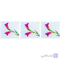 اسپرسو ساز حرفه ای آسیاب دار ساچی مدلNL_COF_7063G