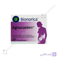 اگنوکاستون
