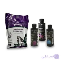 پکیج بنفشه آفریقایی