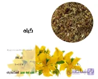 گیاه هوفاریقون،گل راعی،گل شهناز