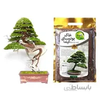 خاک بونسای گیلدا- 2 لیتری