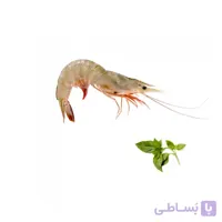 میگو ریز (حدود ۶۰ عدد در هر کیلوگرم)