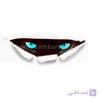 استیکر (برچسب) خودرو طرح چشم گربه