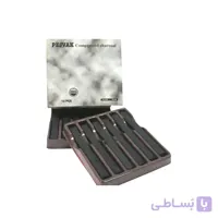زغال فشرده 12عددی پژواک