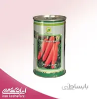 هویج نانتس