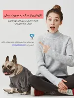 کتاب راهنمای نگهداری از سگ به صورت عملی و کاربردی