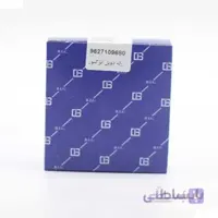 رله دوبل انژکتور 30 آمپر BIG