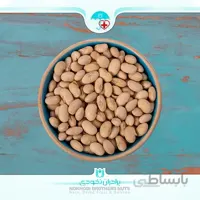 سویا برشته ممتاز