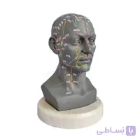 مولاژ طب سوزنی سر