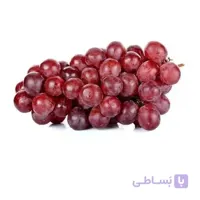 نهال انگور كندری