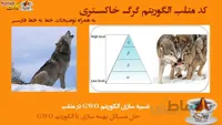 کد متلب الگوریتم گرگ خاکستری : کد متلب GWO