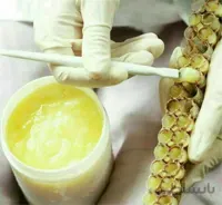 ژل رویال n کروموزوم دلربا بسته 500 گرمی ا Pack of 500 grams of royal jelly-n chromosome