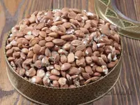 هسته زردآلو شور