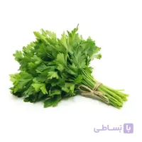 بذر جعفری