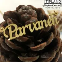 گردنبند اسم پروانه ا Parvaneh