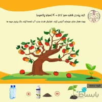 کود پودری قطره سبز 51% + K (سولو پتاسیم)
