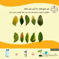 کود مایع کلات 6% آهن، روی، منگنز