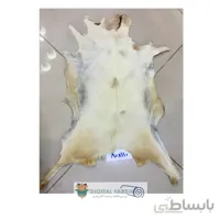 پوست طبیعی تزیینی بزی