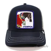 کلاه نقاب دار مدل Goorin - Champion