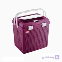 سبد پیک نیک گلریز 3 کد 8200 ناصر