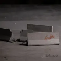 نیوجرسی زندگی سگی