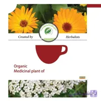 دمنوش گیاهی اکیله آ – کالاندولا(درمان بواسیر) ا Organic Medicainal Plant of Achillea - Callendula