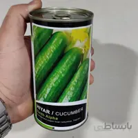 بذر خیار زمینی بت آلفا قوطی 100 گرمی